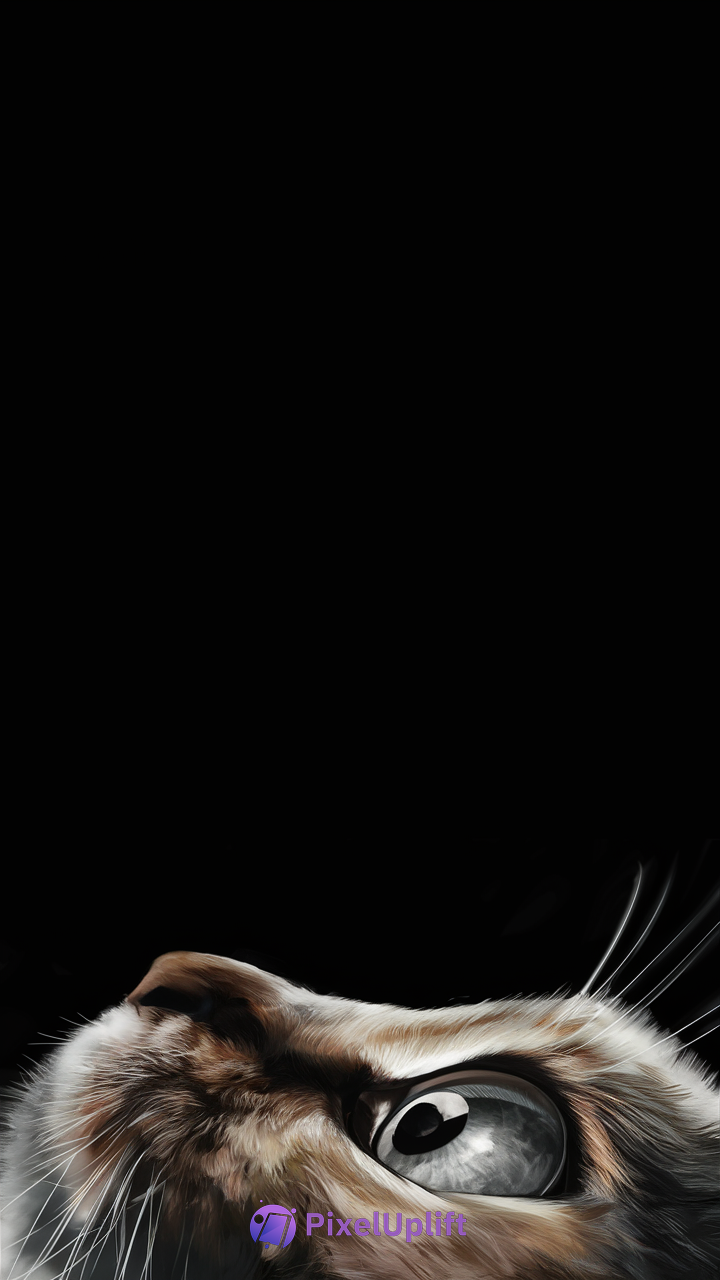 Close-up portrait of a cat with light brown and white fur, glossy eye, and black background phone wallpaper